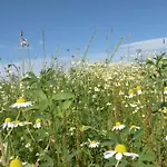 In Florenville With Garden Дом отдыха Chassepierre