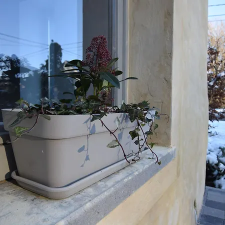 Casa vacanze Modern In Florenville With Garden Chassepierre