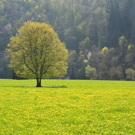 In Florenville With Garden Ferienhaus Chassepierre