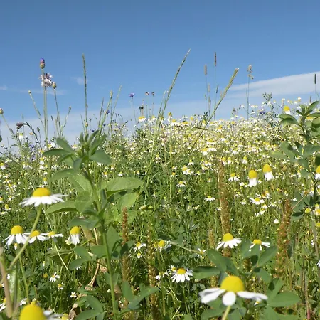 In Florenville With Garden Casa de Férias Chassepierre