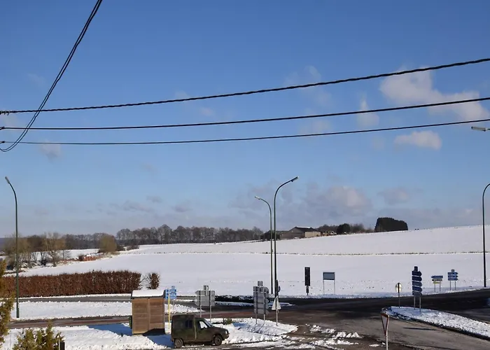 Ferienhaus In Florenville With Garden