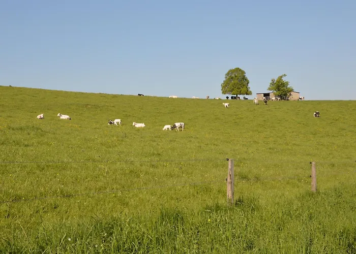 In Florenville With Garden Chassepierre